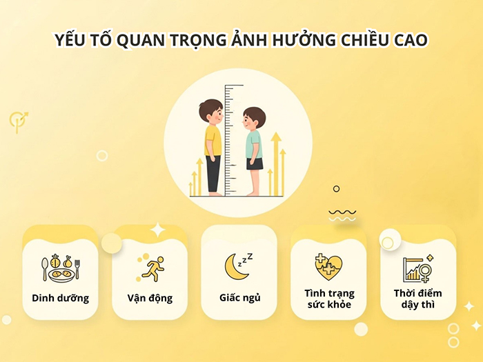 Các yếu tố ảnh hưởng đến chiều cao cần chú trọng chăm sóc.